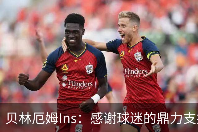 贝林厄姆Ins：感谢球迷的鼎力支持，只要我们齐心协力定能如愿！