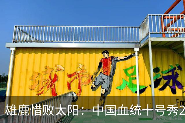 雄鹿惜败太阳：中国血统十号秀23+8+6 杨瀚森好友21+10+4帽