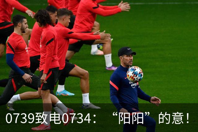 0739致电0734：“阳阳”的意！